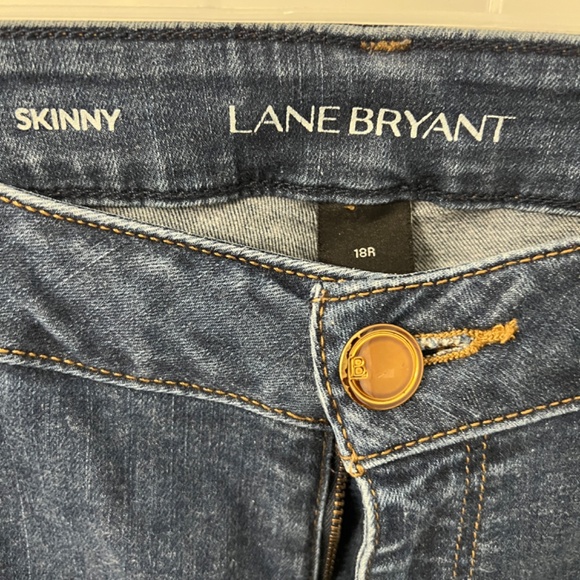 Lane Bryant Skinny Jeans - Picture 3 of 3